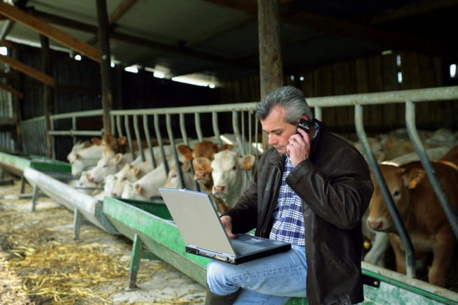 Выход аграриев в онлайн: рывок в виртуальность