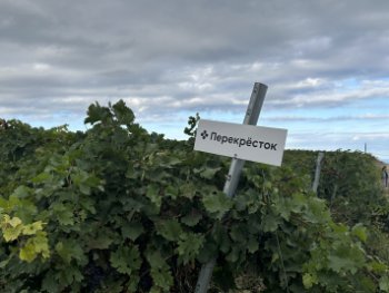 «Дербент Вино» расширяет линейку ЭТМ в категории вин для «Перекрёстка»