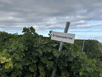 «Дербент Вино» расширяет линейку ЭТМ в категории вин для «Перекрёстка»