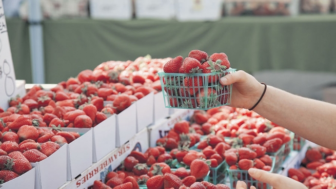 Россия нарастила закупки ягод в два раза