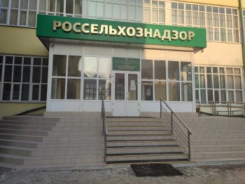 Красноярский Россельхознадзор потребовал заблокировать 44 интернет-зоомагазина