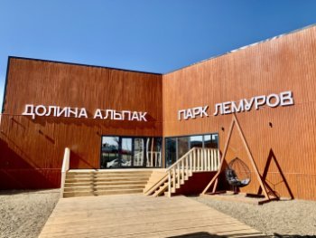 От пингвинов до лам: в Оренбургском «Мармеладе» за месяц появились пять новых площадок с животными