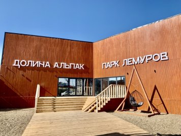 От пингвинов до лам: в Оренбургском «Мармеладе» за месяц появились пять новых площадок с животными…