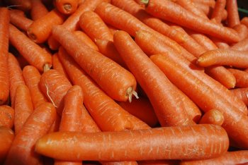«Магнит» увеличит собственное производство моркови