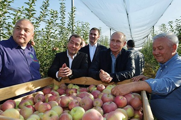 Путин поддержал инициативу о снижении НДС на фрукты Путин поддержал инициативу о снижении НДС на фрукты