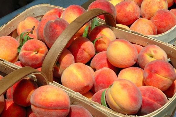 Россия запретила поставки персиков из Сербии и Македонии