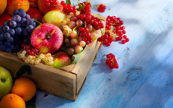 НДС на фрукты и ягоды снизят до 10%