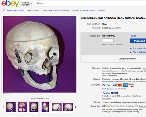 На eBay запретили продажу человеческих черепов