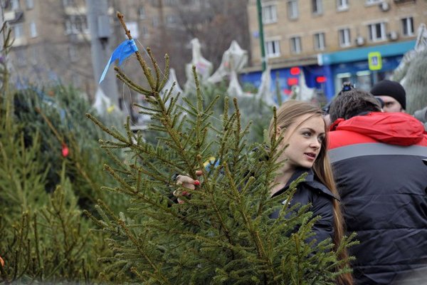 Более 200 ёлочных базаров откроют в Москве в конце декабря