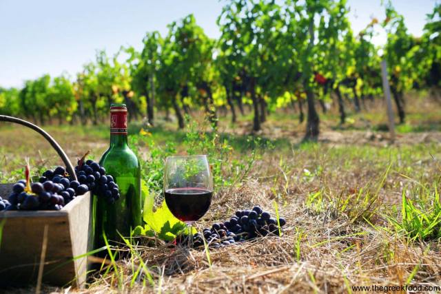 Четыре лидирующих тенденции и один неожиданный поворот событий в области виноделия