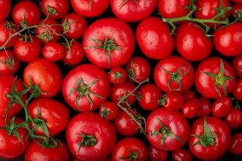Роскачество выявило пестициды и нитраты в тепличных томатах и грибах