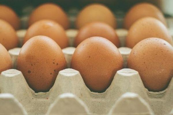 Пластиковая упаковка для яиц может полностью исчезнуть через два года