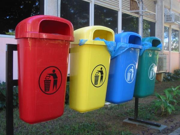 Раздельный сбор мусора в России может быть запущен уже в этом году