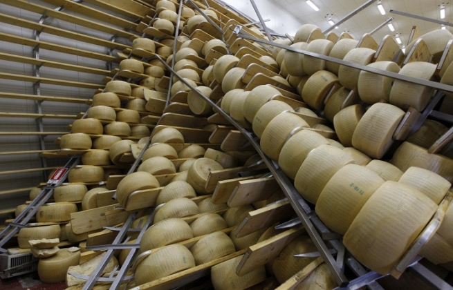 Россия может возобновить поставки импортного сыра