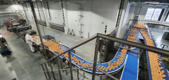 Поставщик хлебобулочных изделий для Макдоналдс в РФ расширяет производство