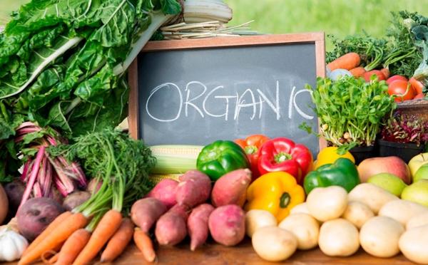 Отечественная продукция с маркировкой «органик» может исчезнуть из магазинов Отечественная продукция с маркировкой «органик» может исчезнуть из магазинов