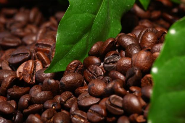 Засуха десятилетия  в Бразилии привела к подорожанию кофе