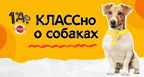 Mars Petcare запускает образовательный проект для юных любителей собак