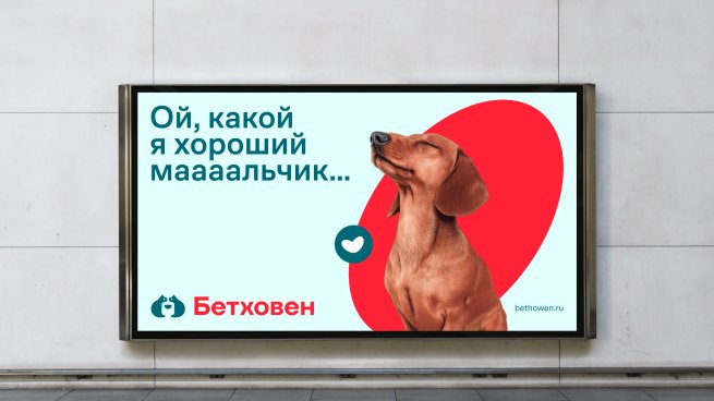 Сеть зоомагазинов «Бетховен» провела ребрендинг (ФОТО) Сеть зоомагазинов «Бетховен» провела ребрендинг (ФОТО)