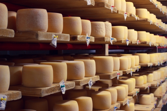 Производство сыра в России в июле выросло на 28%