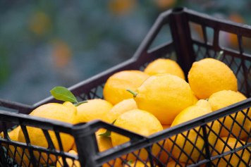 «Магнит» фиксирует увеличение спроса на цитрусовые и «согревающие» продукты