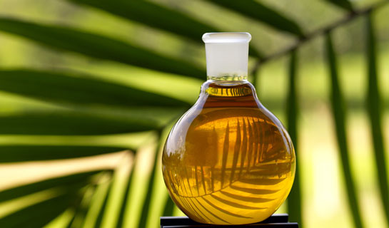 В Минэкономразвития поддержали введение акцизов на пальмовое масло