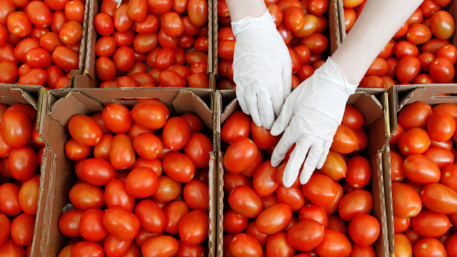 Россия отменила ограничения на ввоз азербайджанских томатов