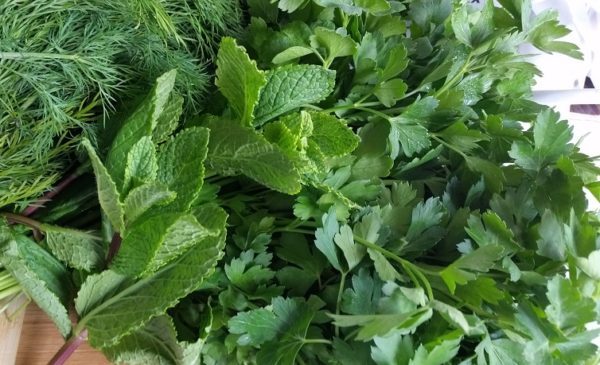 В «Азбуке вкуса» появились грядки с зеленью В «Азбуке вкуса» появились грядки с зеленью