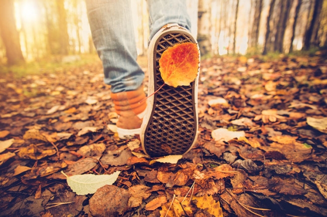 Дезерты, монки и криперы: 7 актуальных ботинок на осень