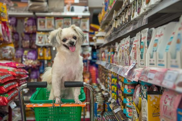 Mars Petcare: Около трети столичных владельцев собак в 2020 году посещали с ними магазины