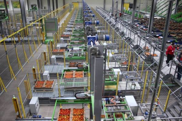 Аналитика: Тренд на здоровое питание спровоцировал рост спроса на мультитемпературные склады в Московском регионе