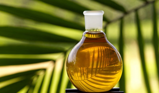 Депутаты хотят запретить пальмовое масло