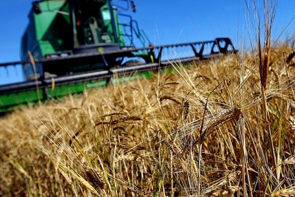 Россия включила в санкционный список украинских аграриев