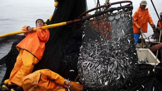 Перу налаживает поставку рыбы и морепродуктов в Россию