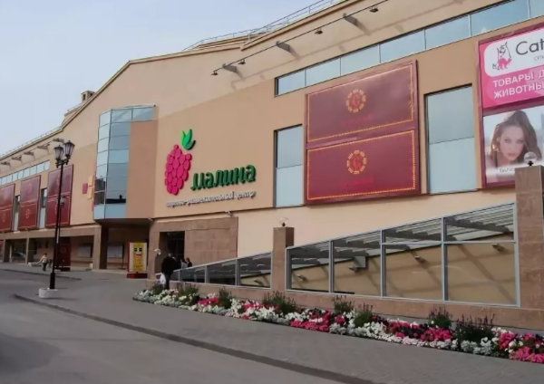 ТРЦ в Рязани выставили на продажу за 800 млн рублей