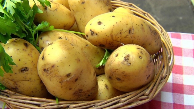 Роскачество запускает масштабную проверку картофеля