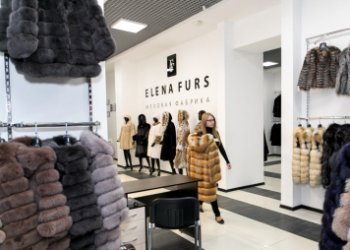 Владельцев Elena Furs привлекают к субсидиарной ответственности