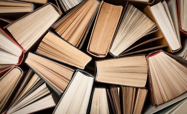 Продажи книг на Wildberries выросли на 168% Продажи книг на Wildberries выросли на 168%