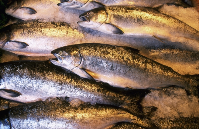 На границе с Крымом обнаружено 40 тонн реэкспортной рыбы