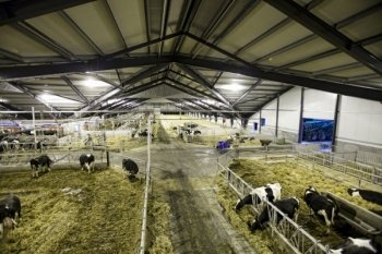«Эконива» купила у «Ташира» крупный проект молочной фермы 