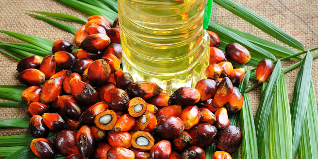 Государственная Дума: в России могут ввести запрет на использование пальмового масла в некоторых продуктах