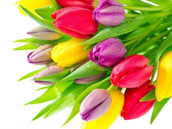 Супермаркет Ozon первым в РФ запустил доставку цветов в 20-минутный интервал