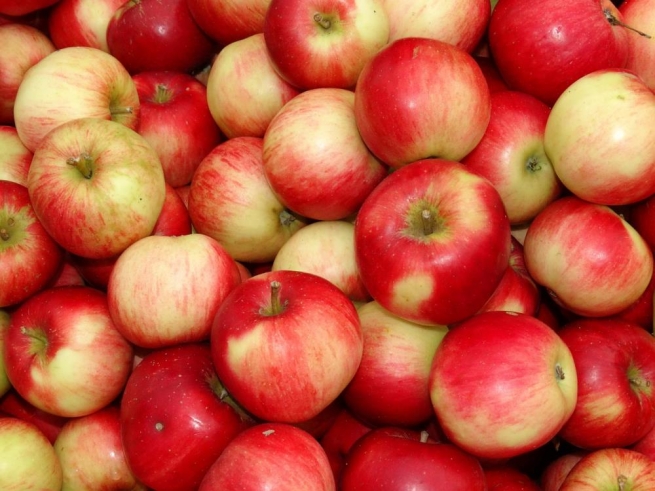 Россельхознадзор запретил ввоз яблок из Боснии и Герцоговины