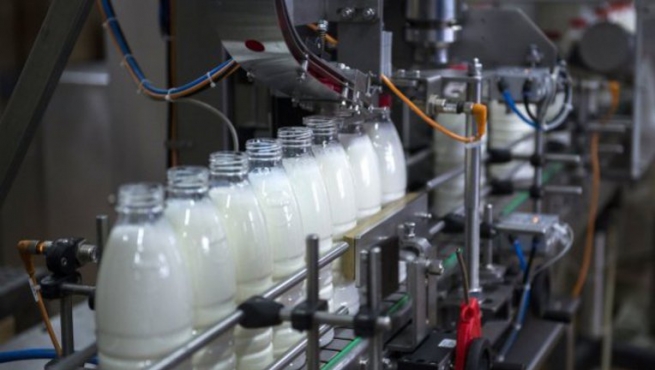 Россельхознадзор ограничил поставки молочной продукции из Белоруссии
