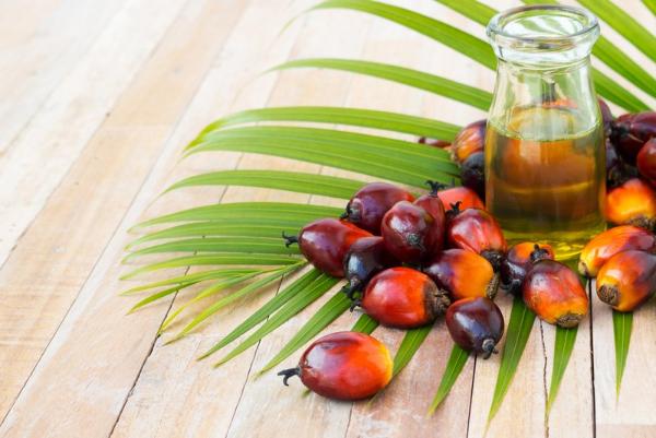 Повышение НДС на пальмовое масло до 20% одобрили в Комитете Госдумы