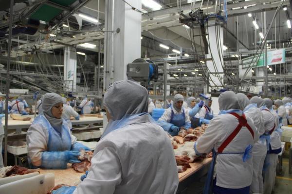 «Мираторг» вложит четверть миллиарда рублей в расширение производства свинины 