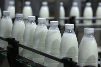 Наталья Касперская создает компанию по производству молока