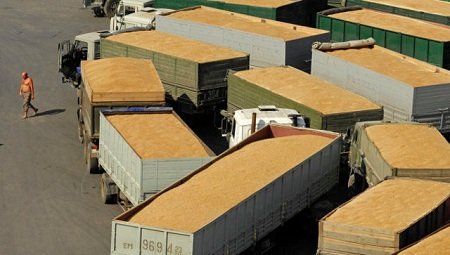 Крупнейшие экспортеры зерна приостановили закупки для экспорта в России