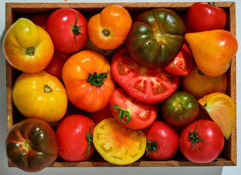 В Яндекс Лавке теперь можно купить свежие овощи и фрукты как на рынке
