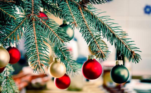 Сумма покупок натуральных елей в декабре 2021 года выросла на 7% относительно прошлого года